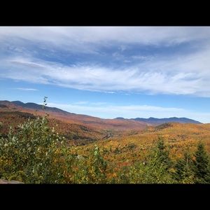 Meet your Posher, Skye